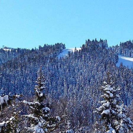 Tes Rila Park Apartments Borovets Exterior foto