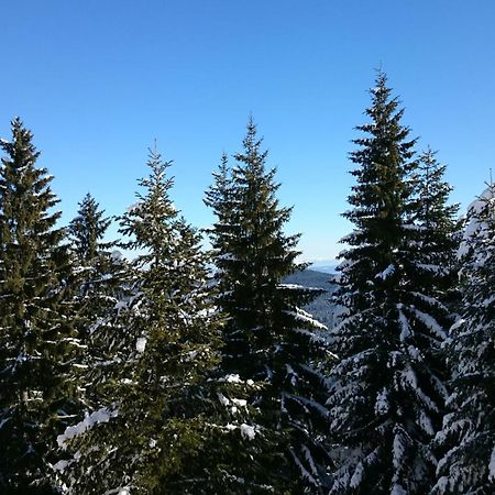 Tes Rila Park Apartments Borovets Exterior foto