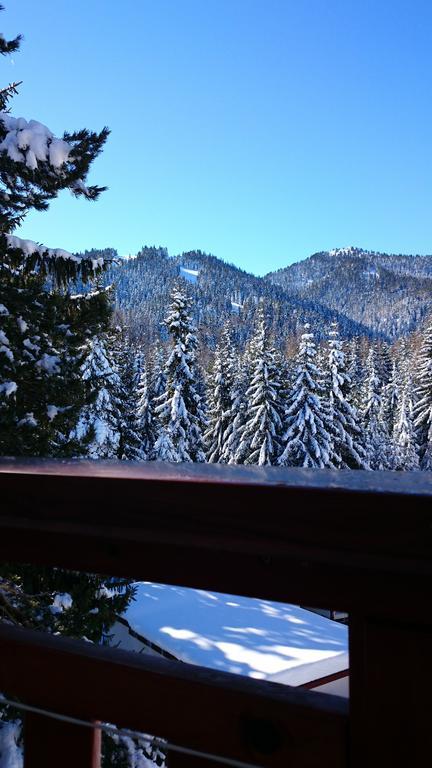 Tes Rila Park Apartments Borovets Quarto foto