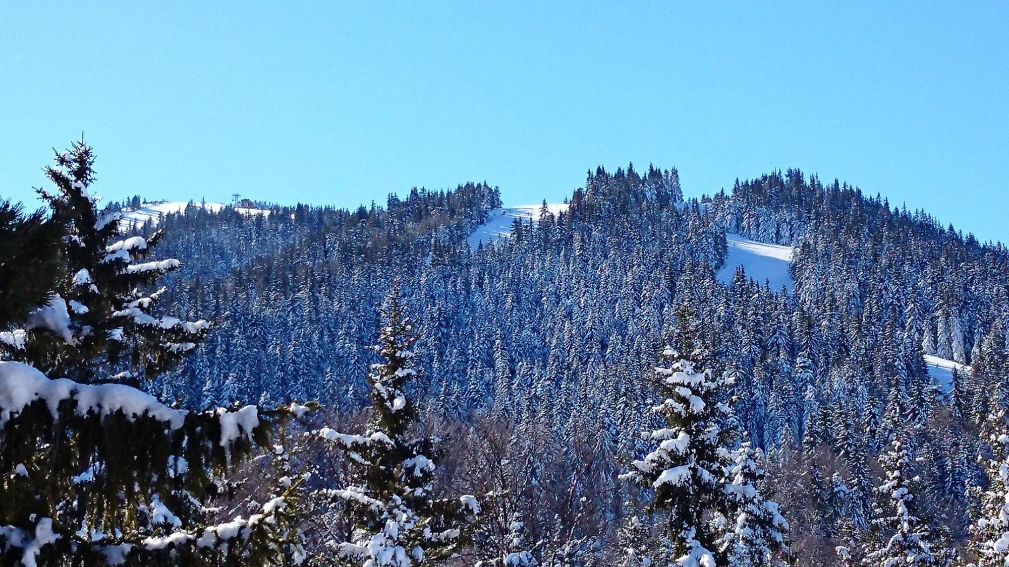 Tes Rila Park Apartments Borovets Exterior foto